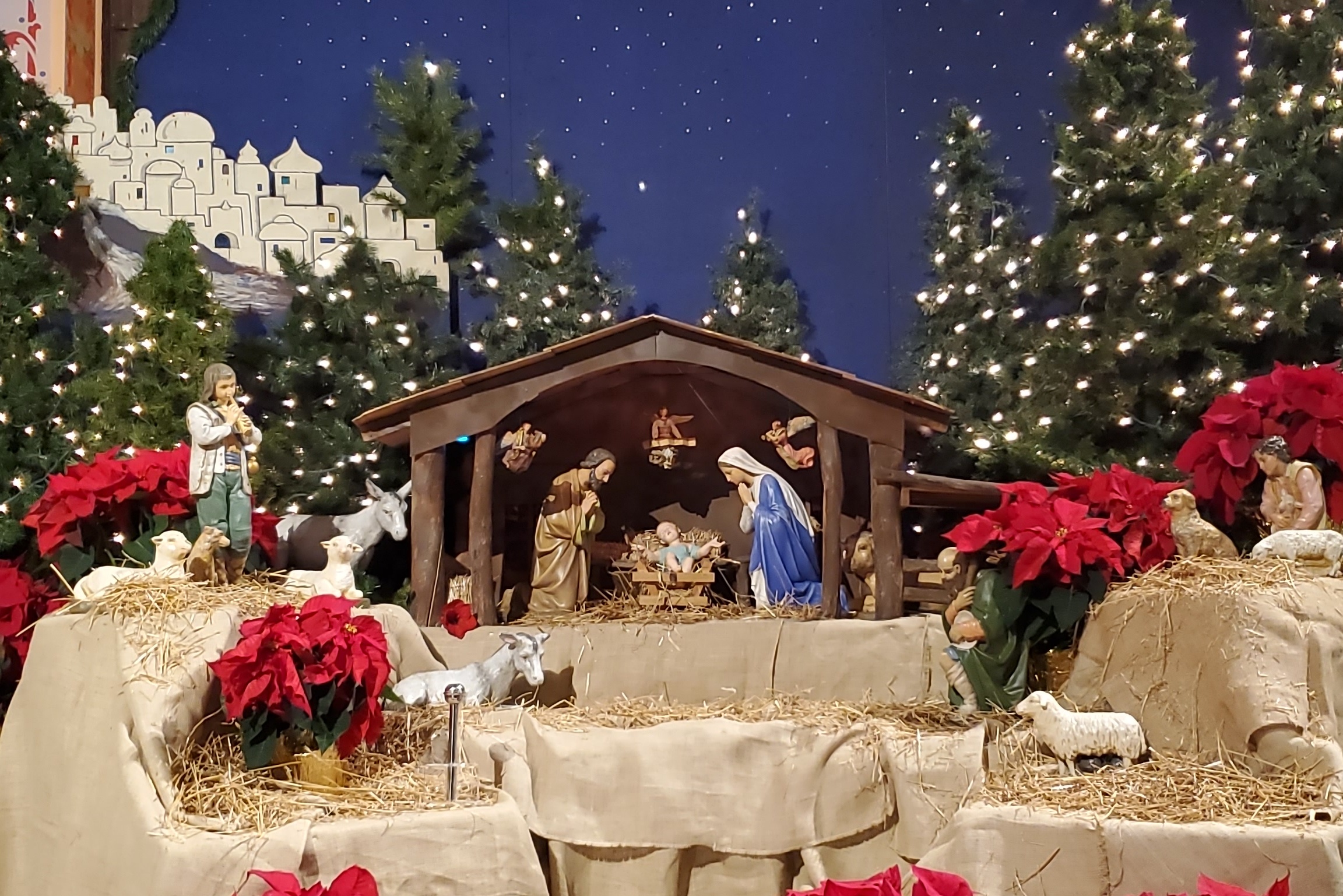 <div><div class="caption">
                 Holiday Mass Schedule
                  </div><div className="subcaption">
                    <a href="HolidaySchedule.jpg" target="_blank" arial-label="Details opens in a new window">Details</a>
                  </div></div>